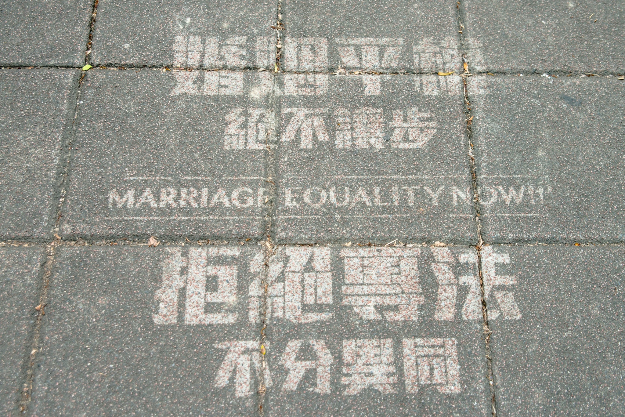 Taiwan Legalizes Same-Sex Marriage: A Landmark for Equality in Asia
