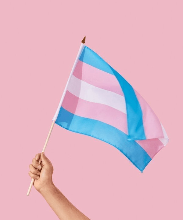 Международный день транс-видимости