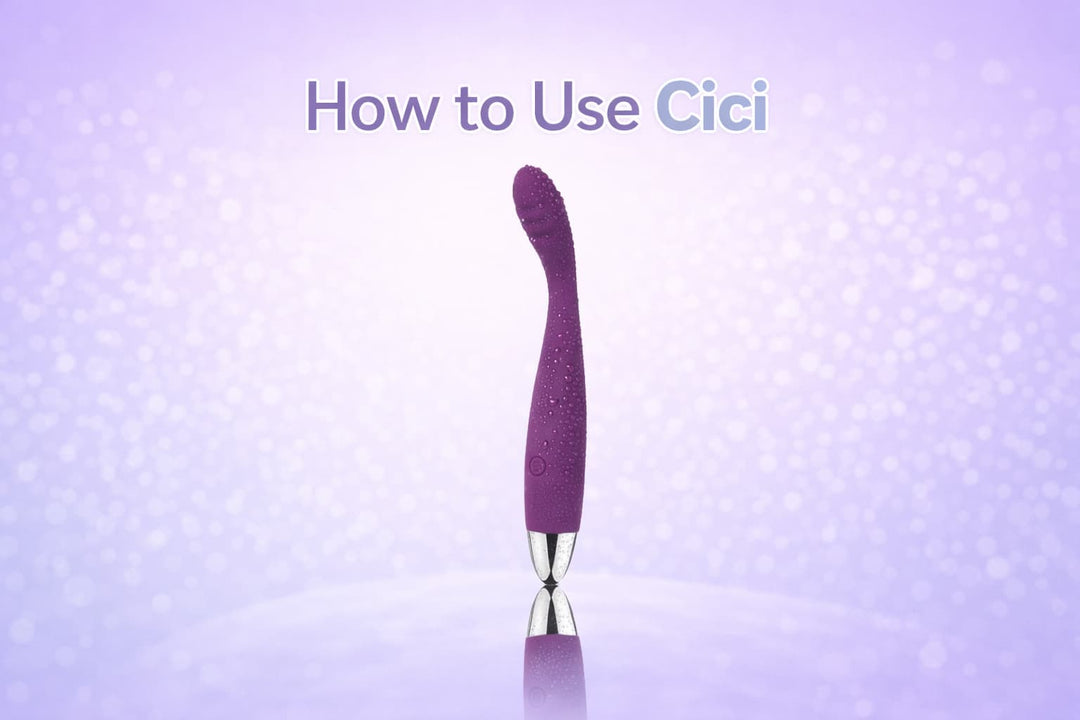 How to Use SVAKOM Cici: Beginner’s Guide