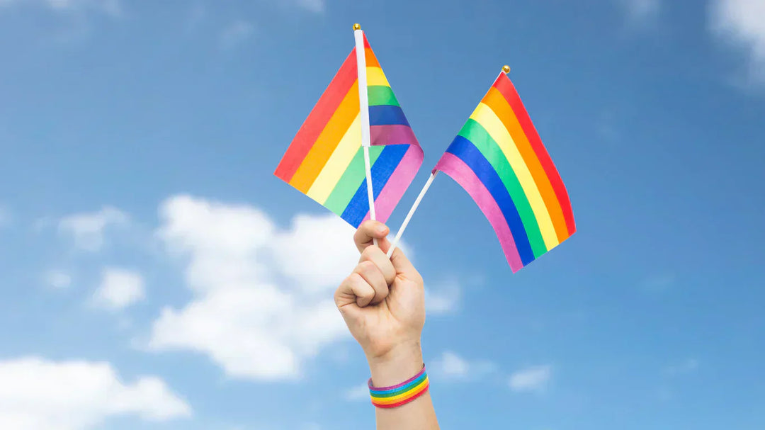 LGBTQIA+ Basics: A Simple Guide to Understanding Diversity