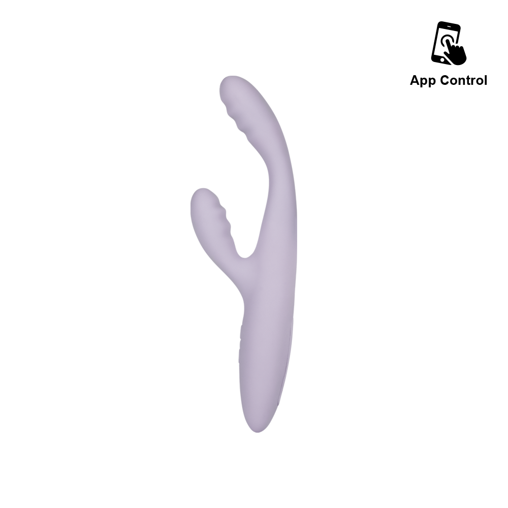 CICI+ 2