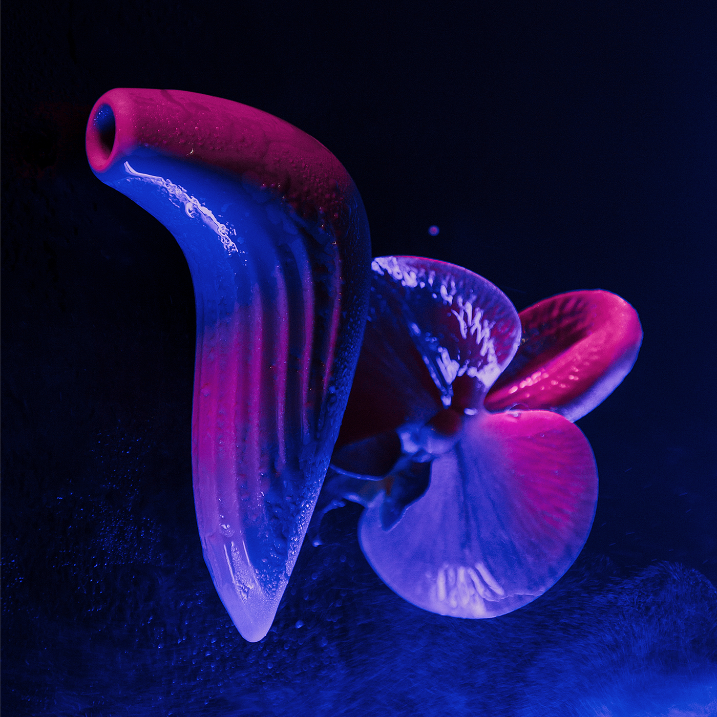 PulseUnion_WaterResistant_IMG_Feature_2.png__PID:eb18ea07-8ebb-4565-b8b9-75f8e6b56dc0